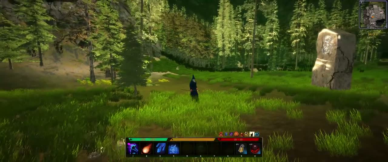 Exploring the Forest