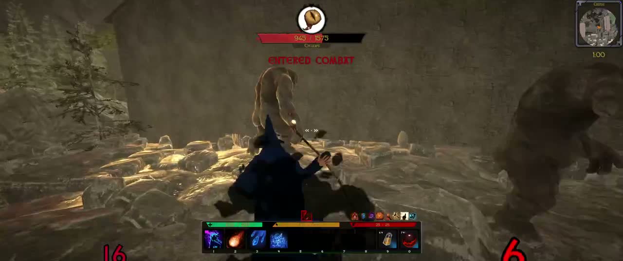 Castle combat